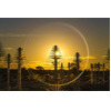 Kasdon to make 180,000 PCBs for radio telescope